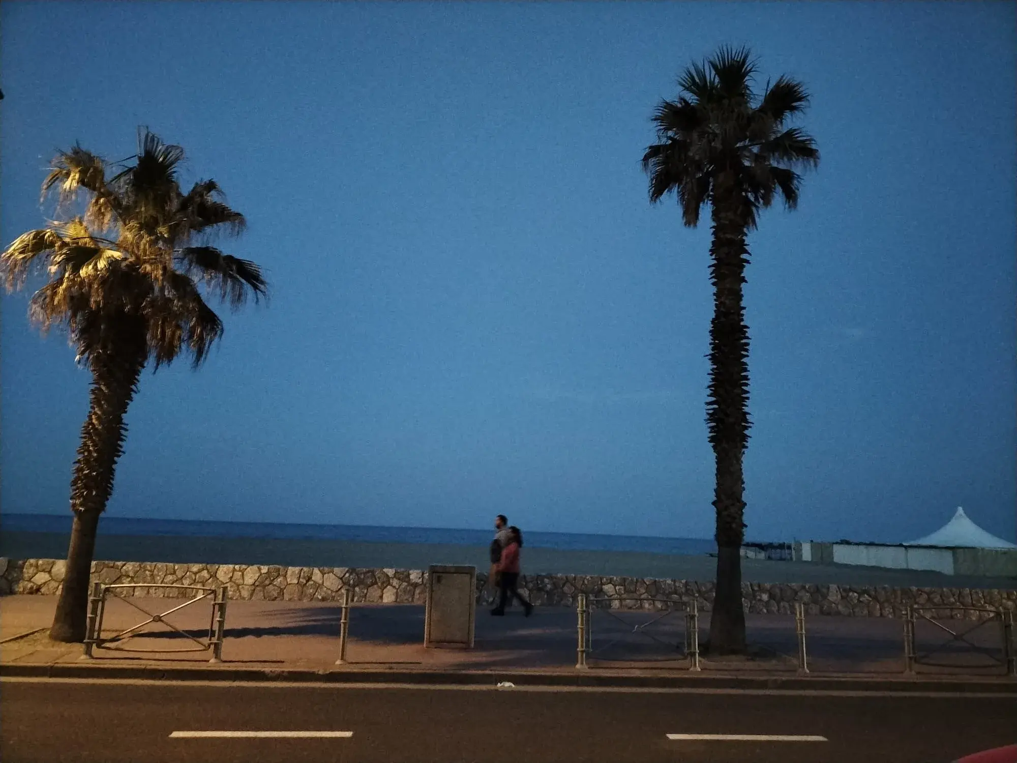 Palmiers et plage de la côte catalane à la tombée du jour